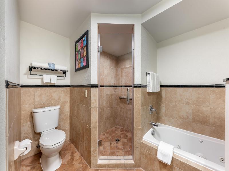 Drury Plaza Hotel North San Antonio image