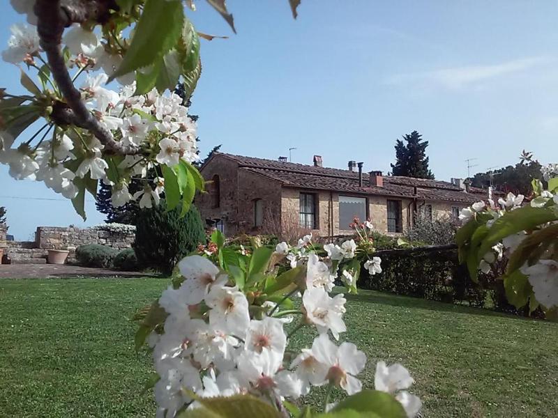 Torre di Ponzano image