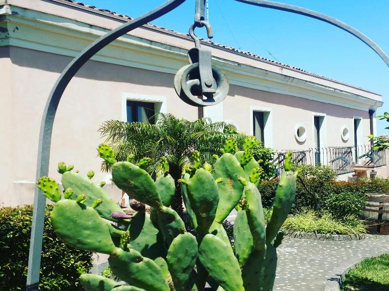 Agriturismo Il Ciliegio dell' Etna image