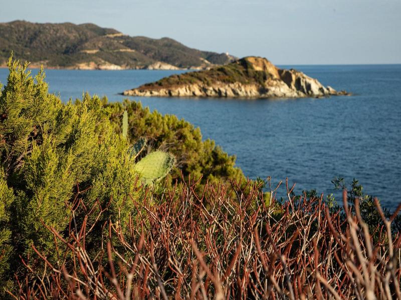 Hotel Club Baia Delle Ginestre image