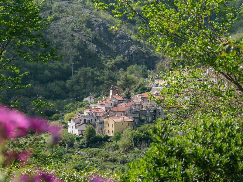 Ca' de Berna — general view