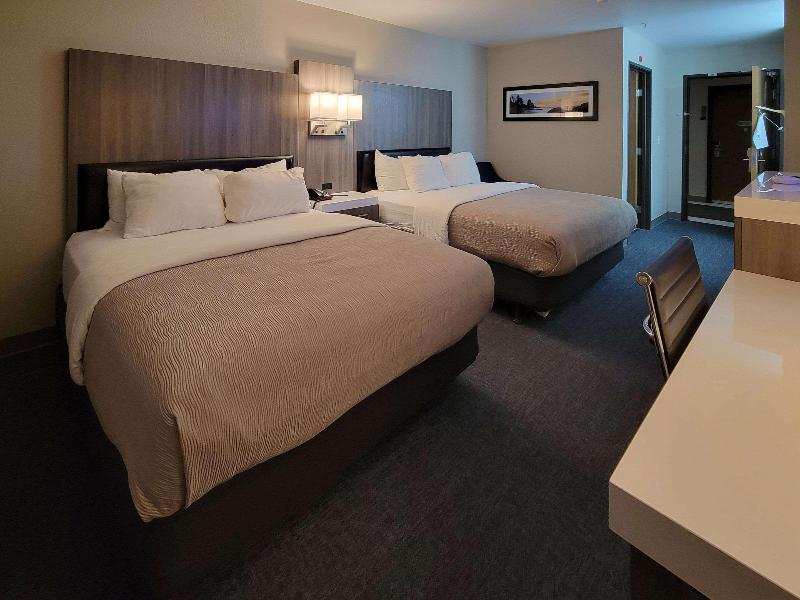 DOUBLE TWO QUEEN BEDS — photo 7