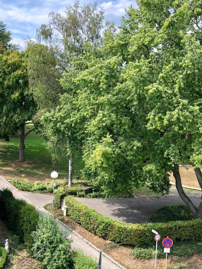 Hotel am Park image
