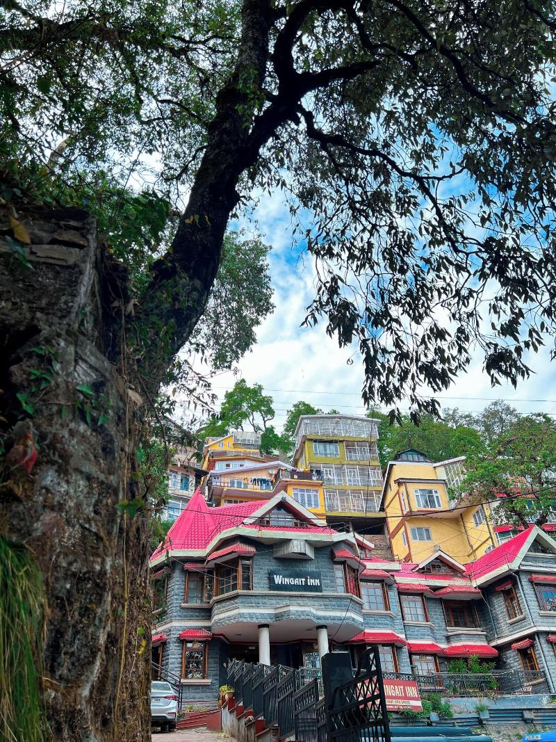Wingait Inn image