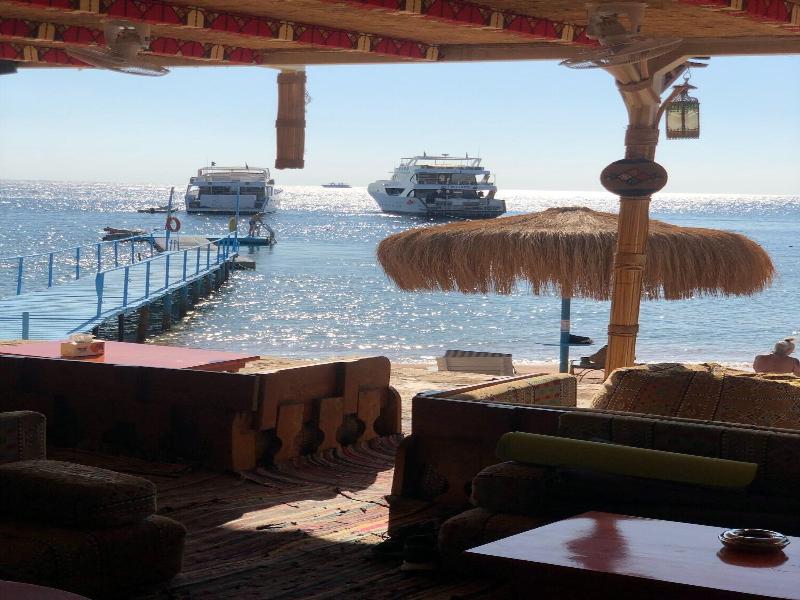 Sharks Bay Umbi Diving Village image