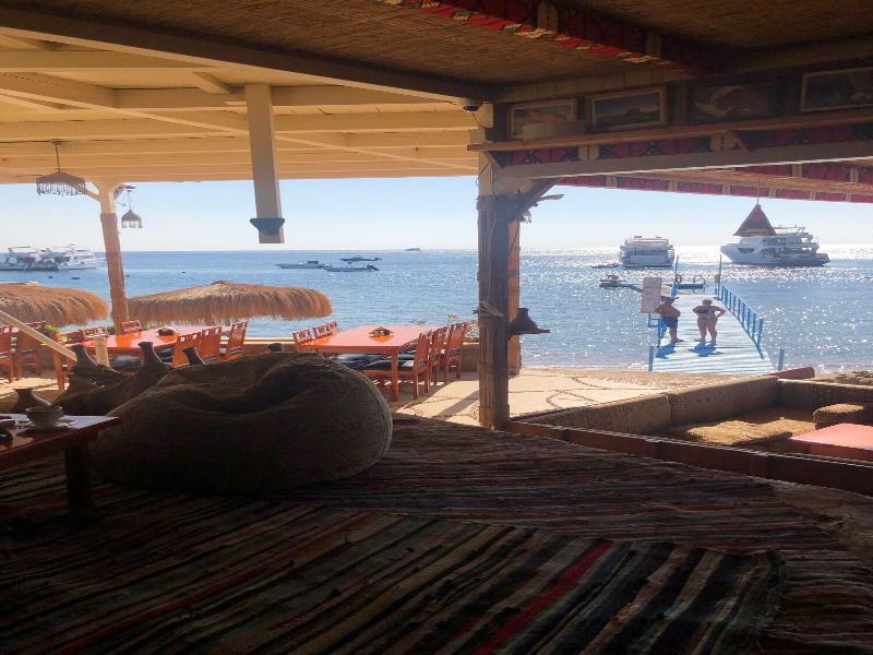 Sharks Bay Umbi Diving Village image