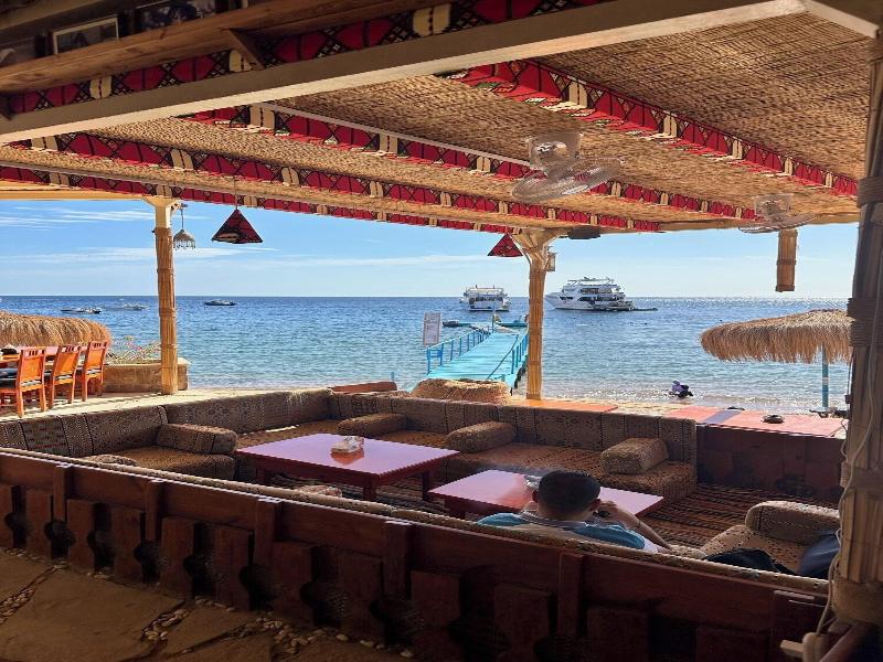 Sharks Bay Umbi Diving Village image