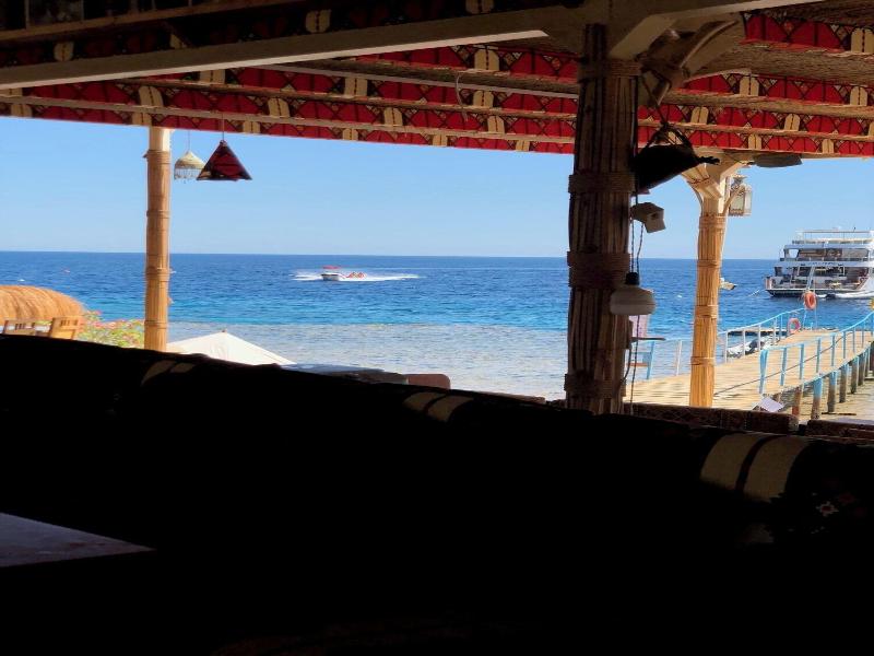 Sharks Bay Umbi Diving Village image