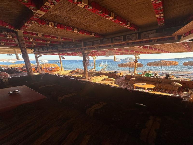 Sharks Bay Umbi Diving Village image