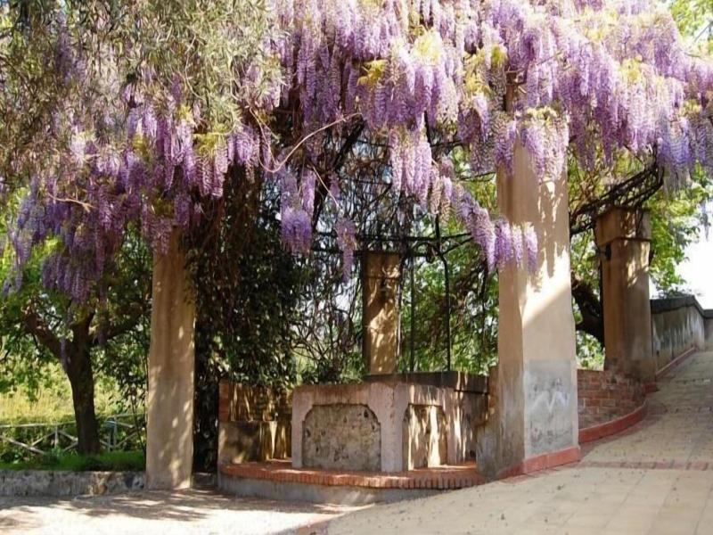 Antico Borgo image