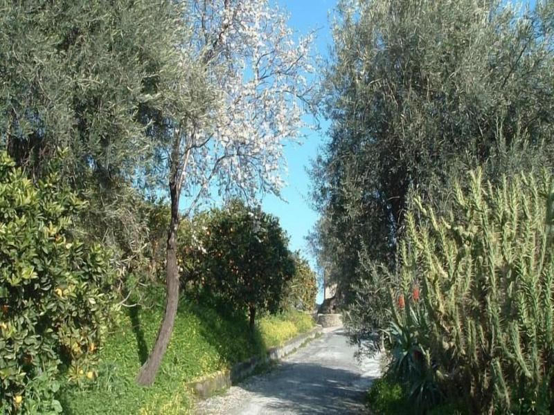 Antico Borgo image