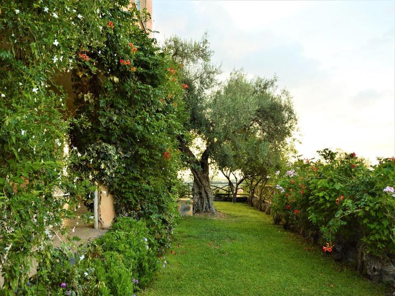 Antico Borgo image