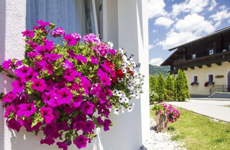 Adler Resort Kaprun image