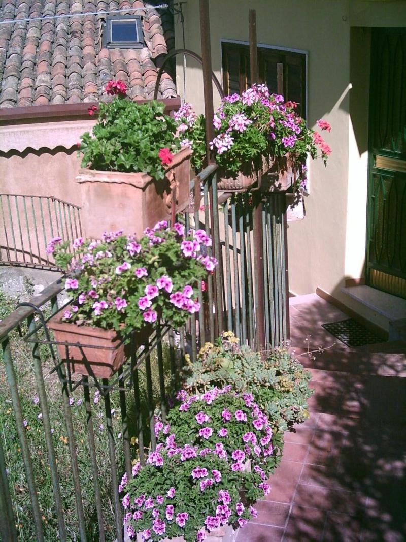 B&B U Palmentu