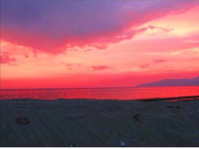 Camping Le Palme image