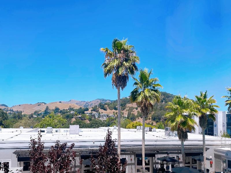 Marin Hilltop Hotel image
