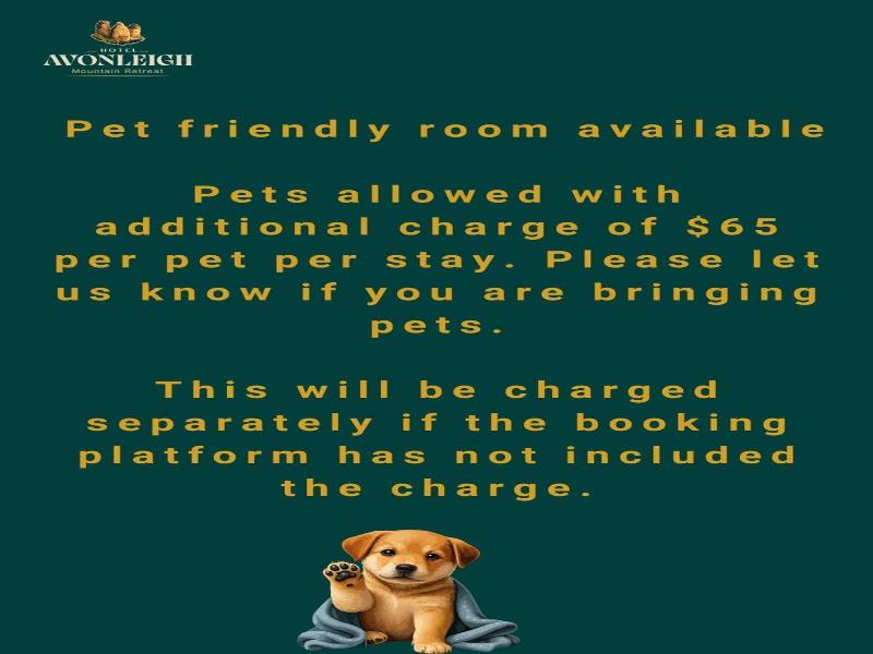 Avonleigh Guest House image