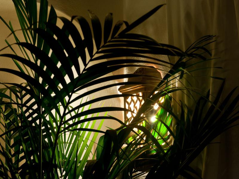 Nora Club Hotel image