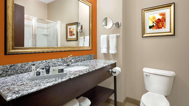 Best Western Plus Washington Hotel image