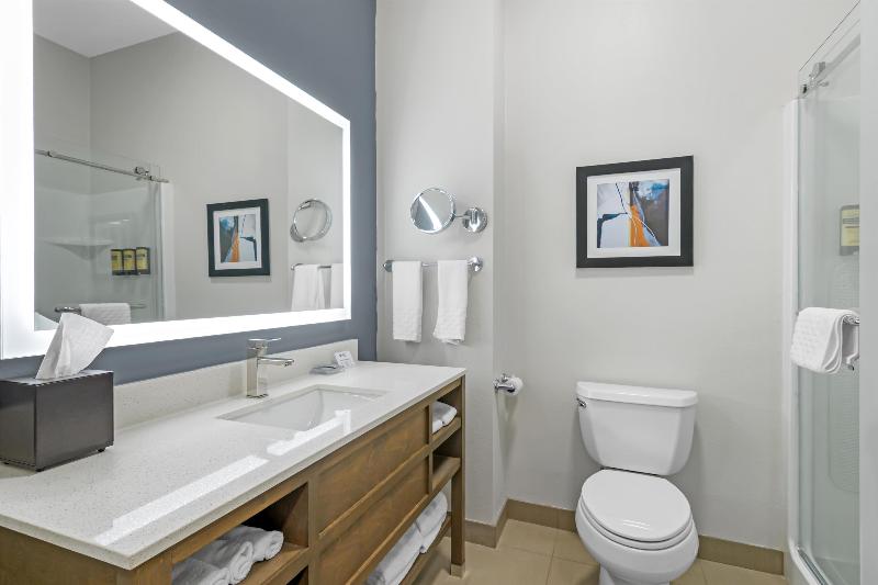 Best Western Plus Washington Hotel image