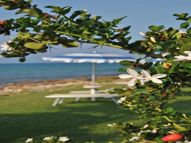 Acquamarina image