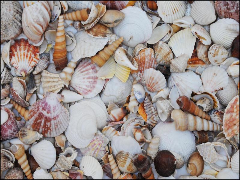 Acquamarina image