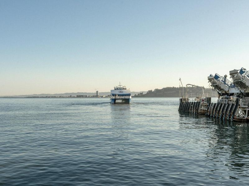 Marin Suites Hotel image