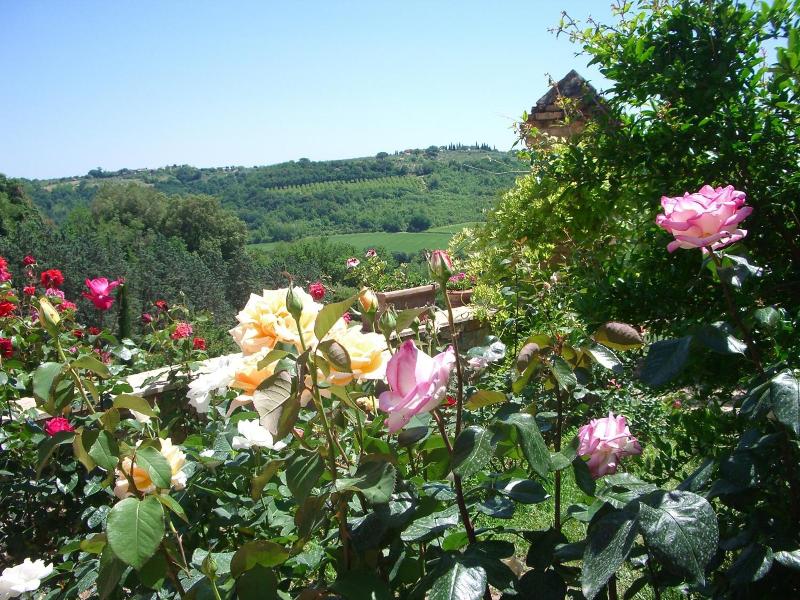 Torraccia di Chiusi image