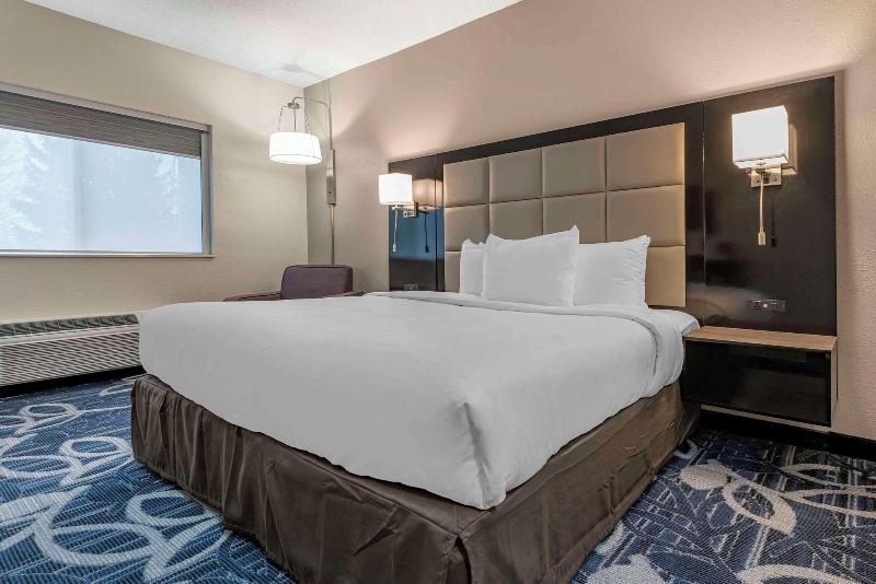 Comfort Inn & Suites Liverpool - Syracuse image