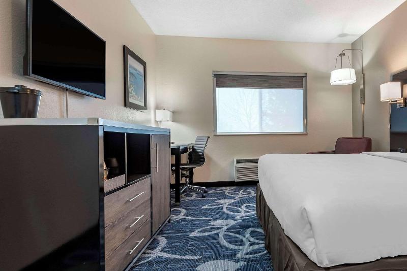 Comfort Inn & Suites Liverpool - Syracuse image
