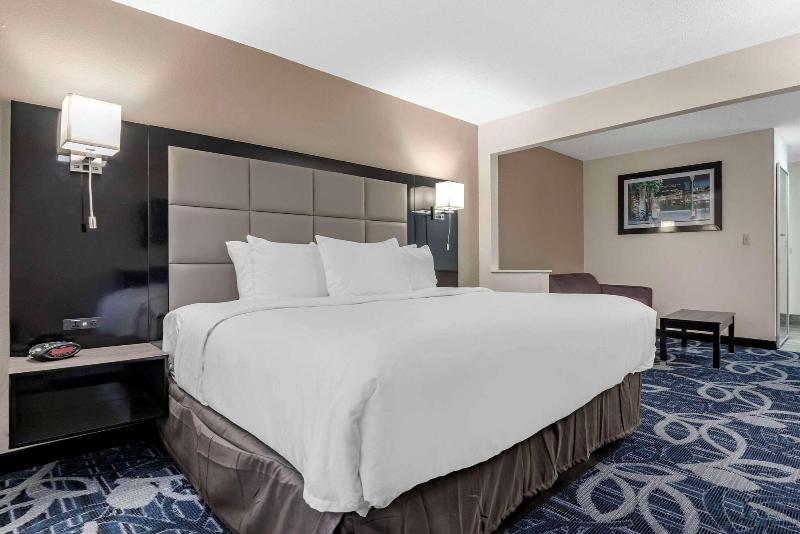 Comfort Inn & Suites Liverpool - Syracuse image