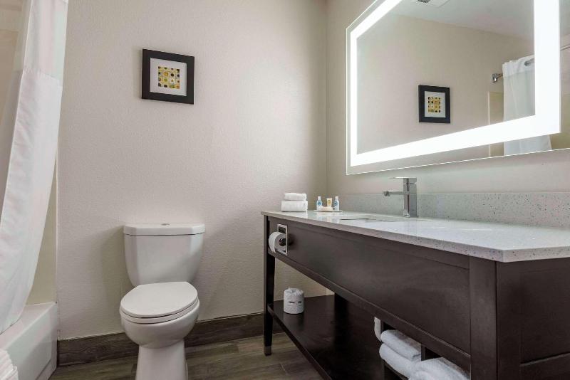 Comfort Inn & Suites Liverpool - Syracuse image
