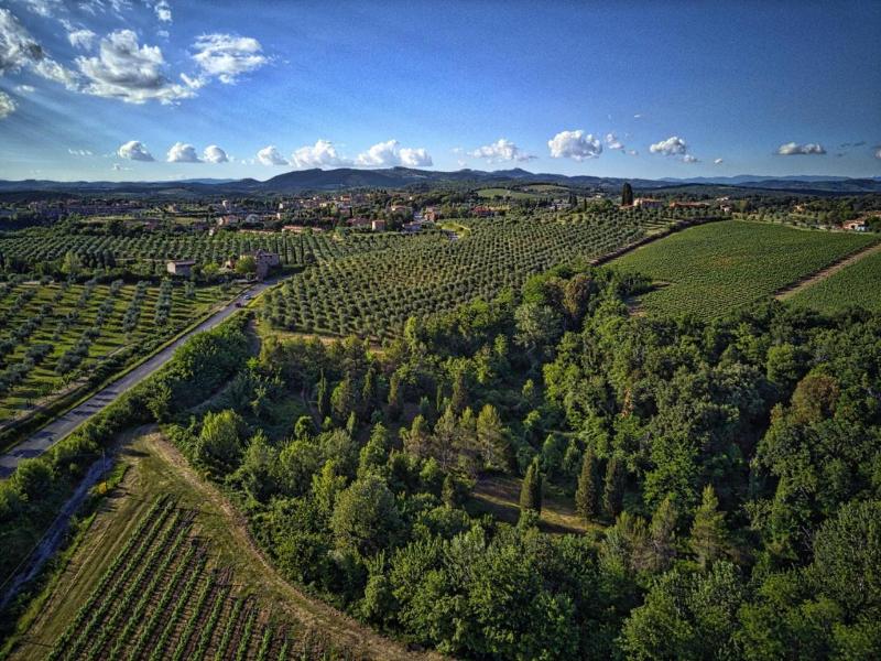 Casa Cernano Bed & Breakfast image