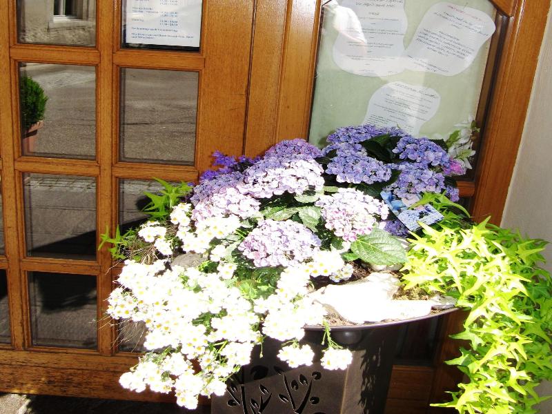 Hotel Gasthof am Selteltor image