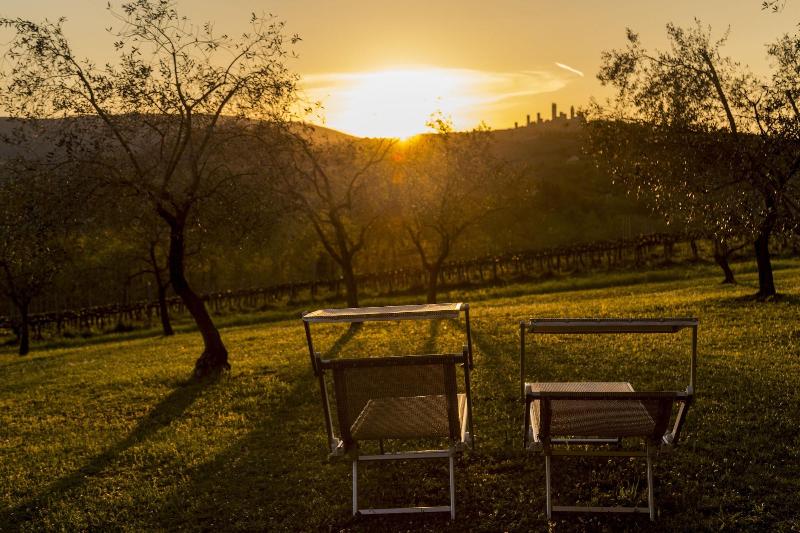 Pietrafitta Podere La Costa image