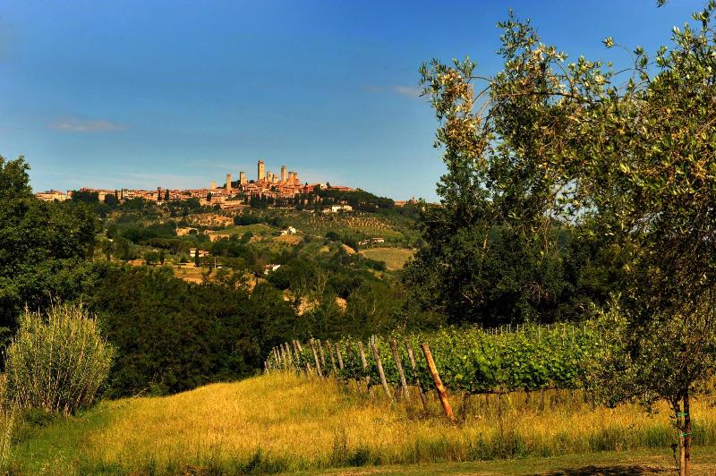 Pietrafitta Podere La Costa image