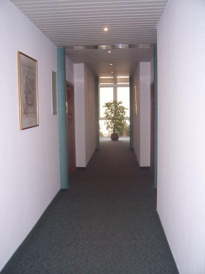 Zimmermann image