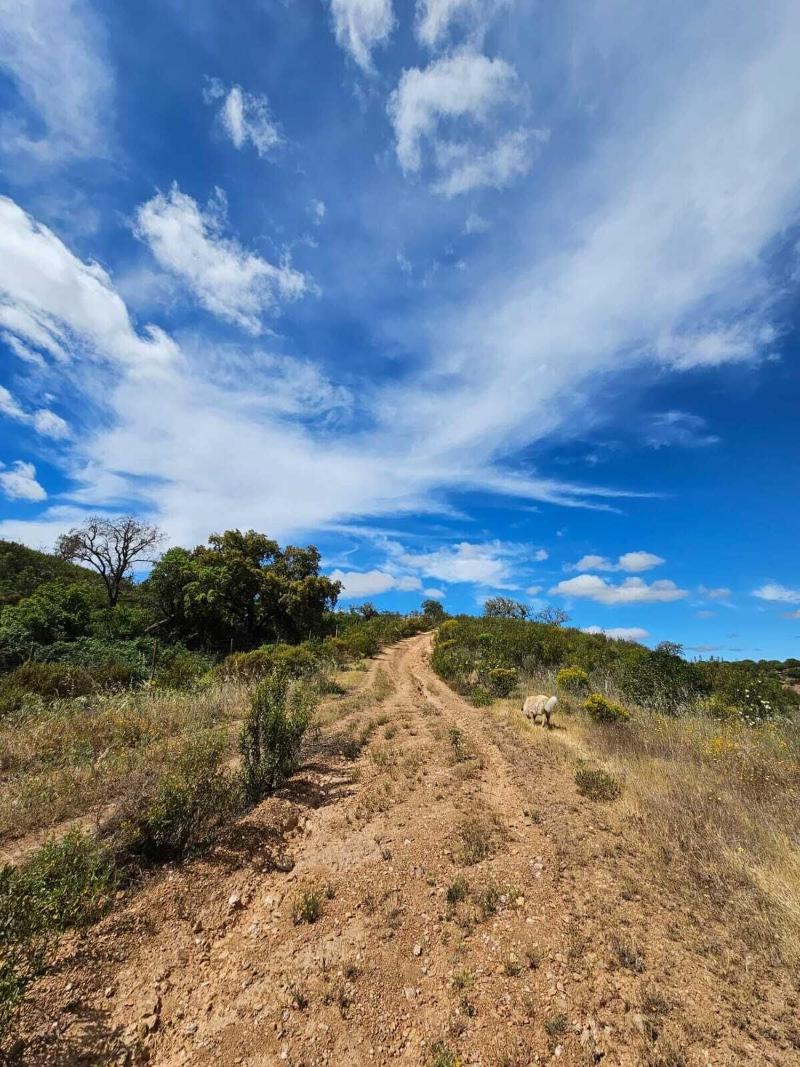 Herdade do Rio Torto — general view