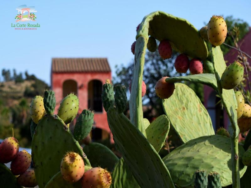 La Corte Rosada image