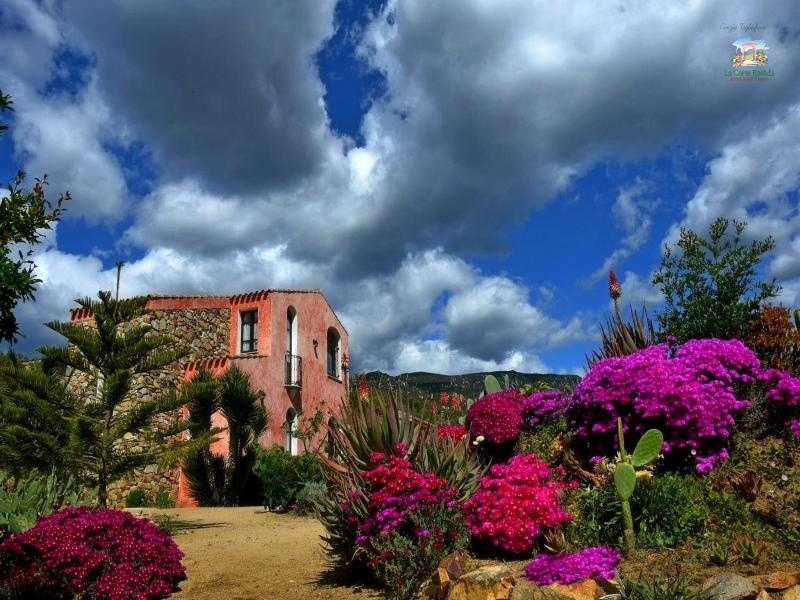 La Corte Rosada image