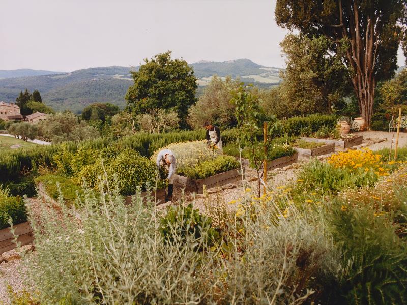 Castello Di Casole, A Belmond Hotel, Tuscany image
