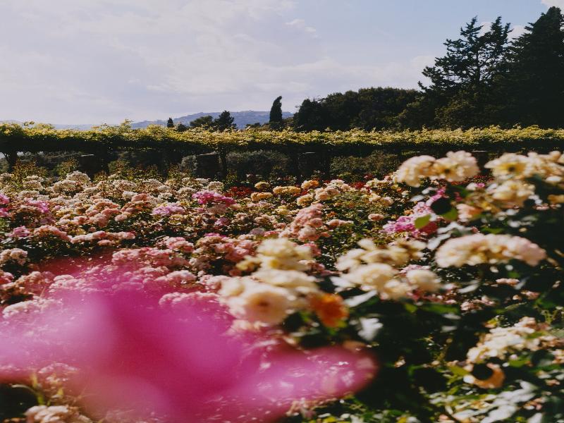 Castello Di Casole, A Belmond Hotel, Tuscany image