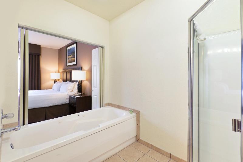 Holiday Inn Express Show Low image