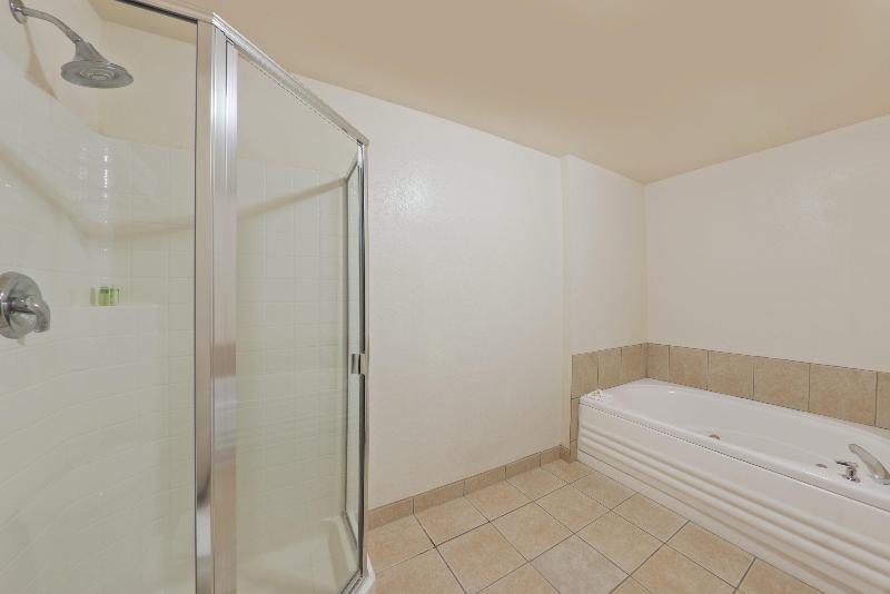 Holiday Inn Express Show Low image