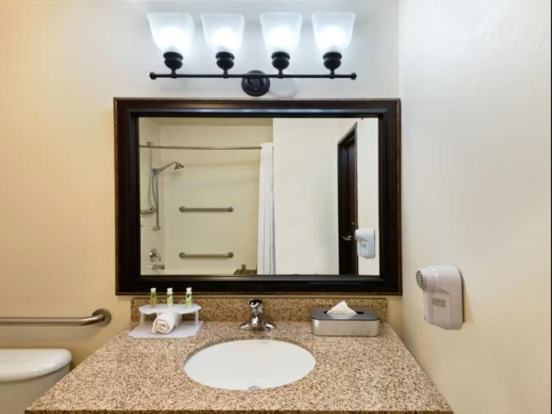 Holiday Inn Express Show Low image