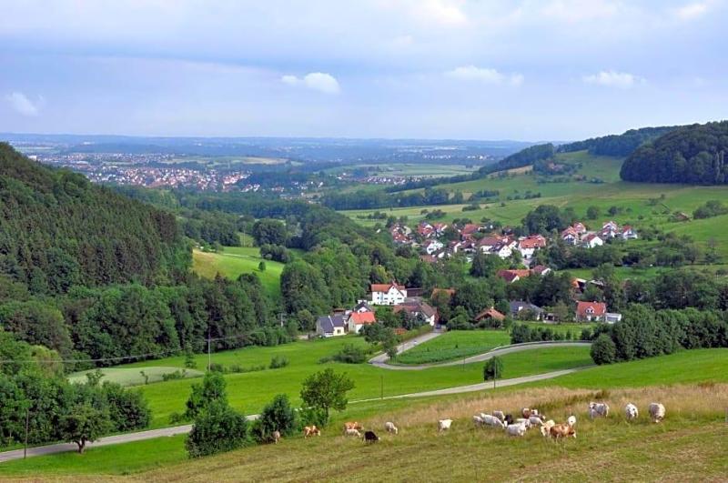 Landgasthof Hölzle image