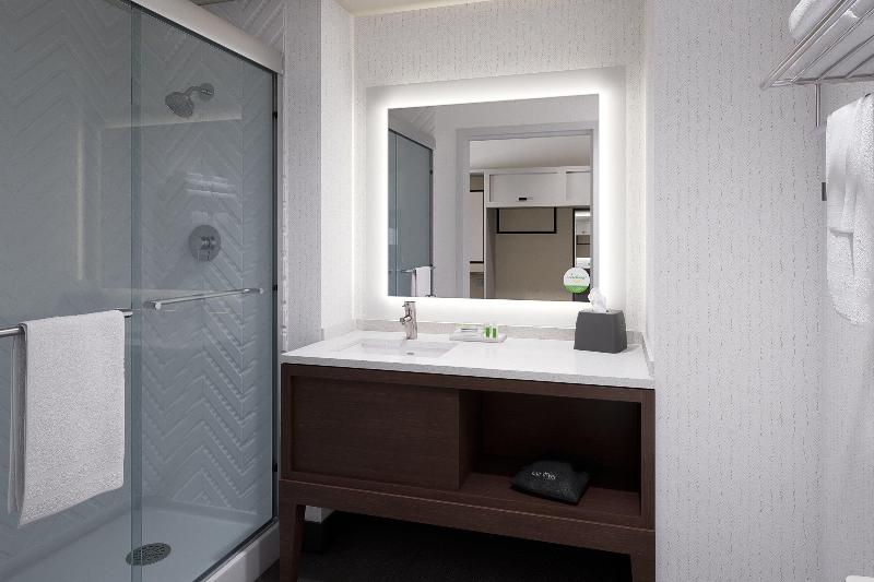 Holiday Inn Tampa North photo 19