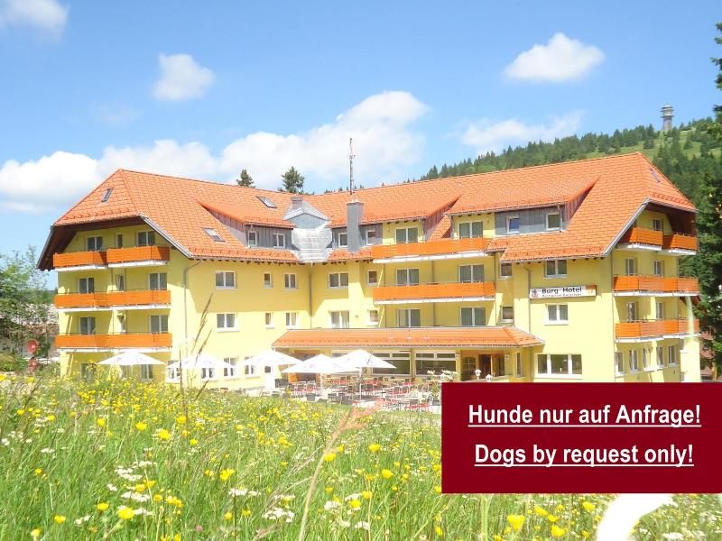 Burgstube Feldberg image
