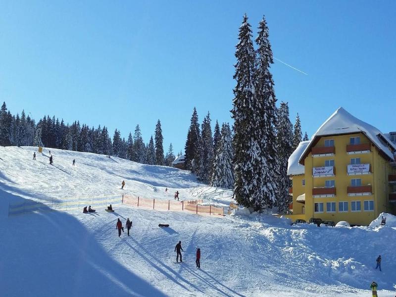 Burgstube Feldberg image