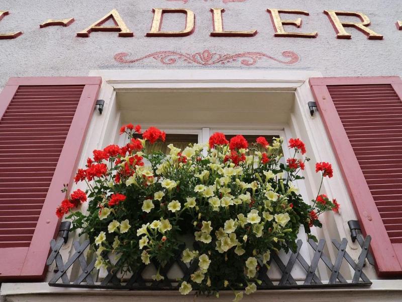 Adler Post image
